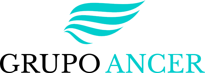 sanitariosportatilesgrupoancer.com.pe